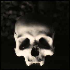 Augusto De Luca: 'skull 3 - by augusto de luca', 2017 Black and White Photograph, Death. 