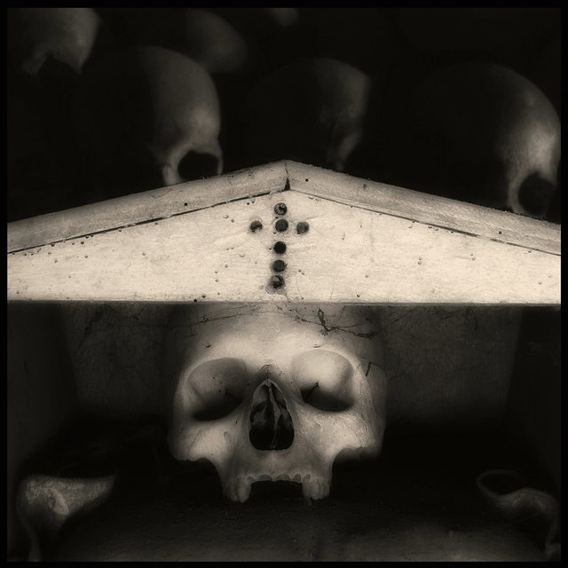 Artist Augusto De Luca. 'Skull 5 - By Augusto De Luca' Artwork Image, Created in 2017, Original Photography Black and White. #art #artist
