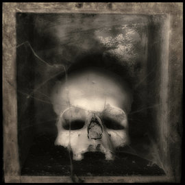 Augusto De Luca: 'skull 7 - by augusto de luca', 2017 Black and White Photograph, Death. 