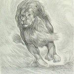 Charging Lion By Austen Pinkerton