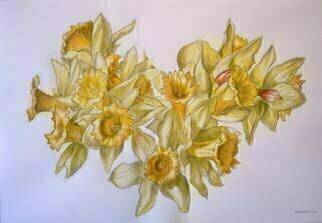 Austen Pinkerton: 'Daffodils', 2004 Watercolor, Floral. 