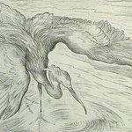 Heron By Austen Pinkerton