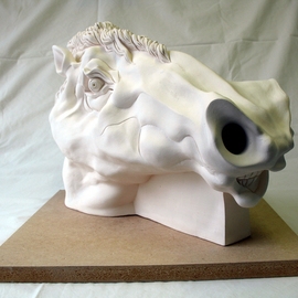 Horses Head  By Austen Pinkerton