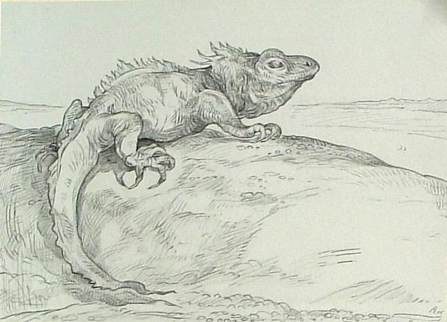 Austen Pinkerton  'Lizard', created in 2005, Original Painting Ink.