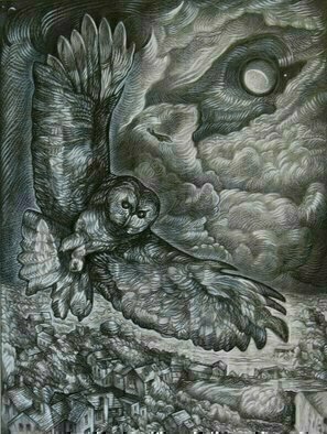 Austen Pinkerton: 'Owl and Moon', 2010 Other Drawing, Animals. 