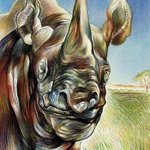 Rhinoceros  By Austen Pinkerton