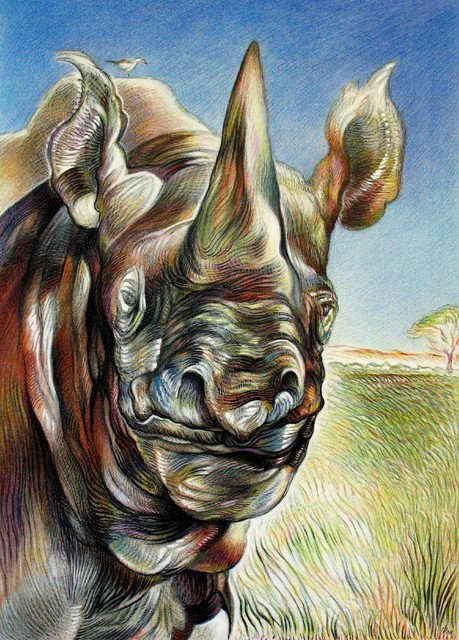 Austen Pinkerton  'Rhinoceros ', created in 2008, Original Painting Ink.