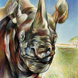 Rhinoceros , Austen Pinkerton
