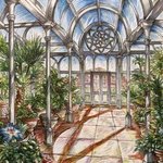 The Conservatory By Austen Pinkerton