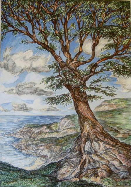 Austen Pinkerton  'Tree On Clifftop', created in 2008, Original Painting Ink.
