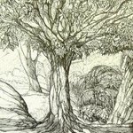 Tree in Forest By Austen Pinkerton