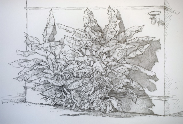 Austen Pinkerton  'Banana Palm', created in 2019, Original Painting Ink.