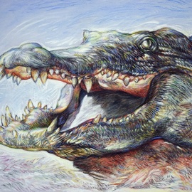 Austen Pinkerton: 'crocodile', 2018 Pastel Drawing, Animals. 