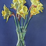 Daffodils, Austen Pinkerton