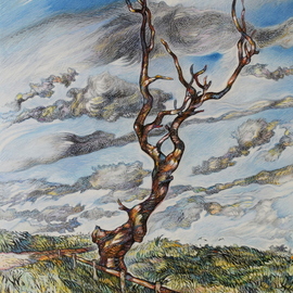 dead tree By Austen Pinkerton