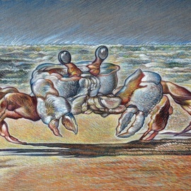 Ghost Crab, Austen Pinkerton