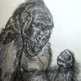 gorilla By Austen Pinkerton