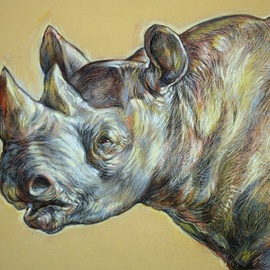 Austen Pinkerton: 'rhino head', 2018 Pastel Drawing, Animals. 