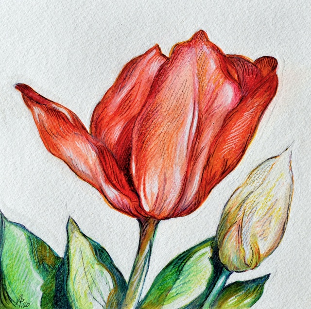 Artist Austen Pinkerton. 'Tulip' Artwork Image, Created in 2020, Original Painting Ink. #art #artist