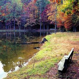 B A Autery: 'bench in autumn colors', 2019 Color Photograph, Landscape. Artist Description: This photograph captures the lonely but peaceful bench facing a crystal clear water pond in beautiful autumn colors setting deep within the forest. ...