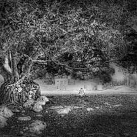 Andrew Xenios: 'The Maya', 2012 Black and White Photograph, Representational. Artist Description: A Mayan man enjoys the coolness of this magnificent tree....
