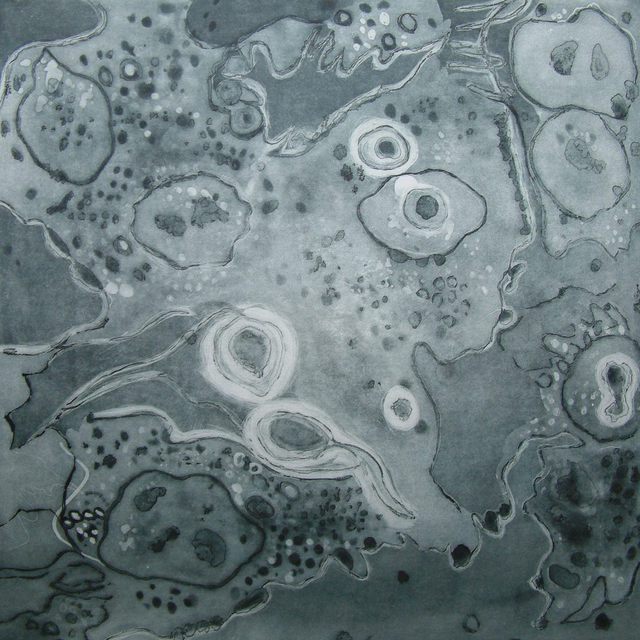 Barbara Jones  'Microparticle 1', created in 2009, Original Printmaking Etching.