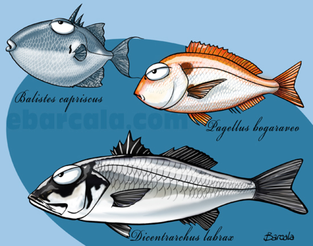 Elisardo Daniel Barcala Dorado  'Amazing Fish', created in 2011, Original Printmaking Giclee - Open Edition.