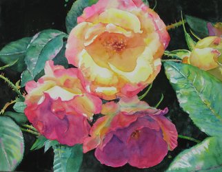 Lesta Frank: 'Hearts Infusion', 2011 Giclee, Floral.   lesta frank, art, painting, roses, watercolor, floral , pinks, yellows ...