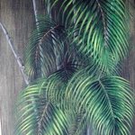 Palm Leaves and Bamboo By Susan Lewis