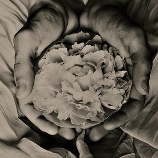 Katya Evdokimova: 'Hands', 2007 Black and White Photograph, Floral. Archival Inkjet Print...