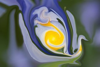 Bruno Paolo Benedetti: 'abstract swan', 2017 Mixed Media Photography, Abstract. blue and yellow colors in fluid swan shape with many shades. Abstract non objective photography, colors of the nature. Fine art photography, modern art. Limited edition print 1 of 2 size 20x30 inches on wrapped canvas. Keywords shades, shape, blue, swan, tones, yellow, light blue, dark, blurries, fluid, nuances, light...
