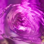 purple vortex By Bruno Paolo Benedetti
