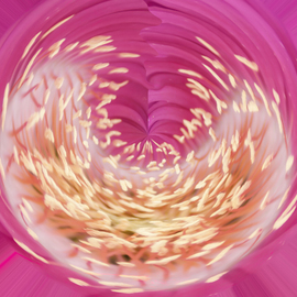swirling shapes in pink vortex By Bruno Paolo Benedetti