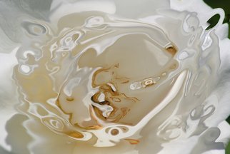Bruno Paolo Benedetti: 'white watercolor', 2013 Digital Photograph, Abstract. Fluid abstract shape in white and yellow shades and tones in watercolor texture.  Single copy printed on Kodak Endura metallic paper, signed and numbered on the back.Buy RM License on  