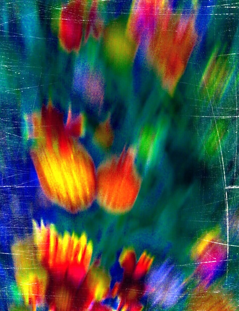 Artist Bernadette  Rivera. 'Tulip Tenacity' Artwork Image, Created in 2016, Original Photography Mixed Media. #art #artist