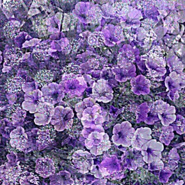 Violet By Bernadette  Rivera
