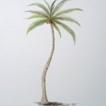 Coconut Palm 2 By Ron Berry