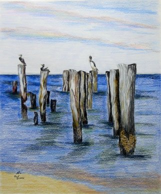Ron Berry: 'Pelicans on Pilings', 2015 Pencil Drawing, Beach. 