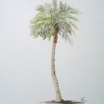 Sabal Palm 2 By Ron Berry
