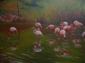 Bessie Papazafiriou: 'Flamingos', 2006 Oil Painting, Birds. 
