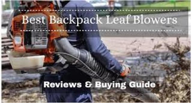 Bill Jackson  'Best Backpack Leaf Blower', created in 2021, Original Poster.