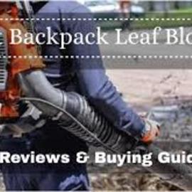 Best Backpack Leaf Blower, Bill Jackson