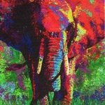 elephant By Bill Lopa