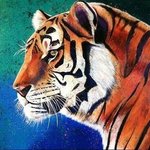 tiger By Bill Lopa