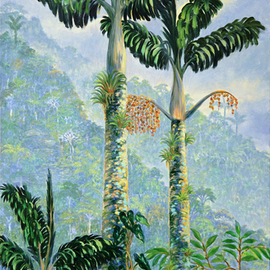 Blanca Moreno: 'palma de tagua', 2019 Oil Painting, Botanical. Artist Description: The tagua palm tree endemic species of thelost city a high montain peak near the caribean in the north part of south America. ...
