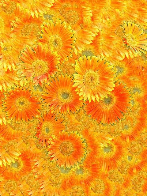 Artist Bruce Lewis. 'A Floral Pattern' Artwork Image, Created in 2019, Original Photography Color. #art #artist
