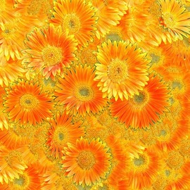 A Floral Pattern, Bruce Lewis
