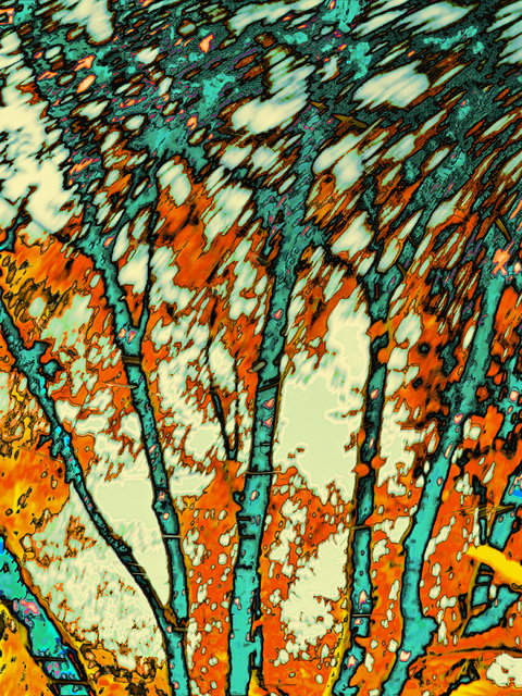 Artist Bruce Lewis. 'Scotts Pond' Artwork Image, Created in 2019, Original Photography Color. #art #artist