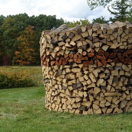 Brett Schwartz: 'holz hausen', 2020 Wood Sculpture, Abstract Landscape. Artist Description: Stacked Ash tree remains next to Ash tree stump...