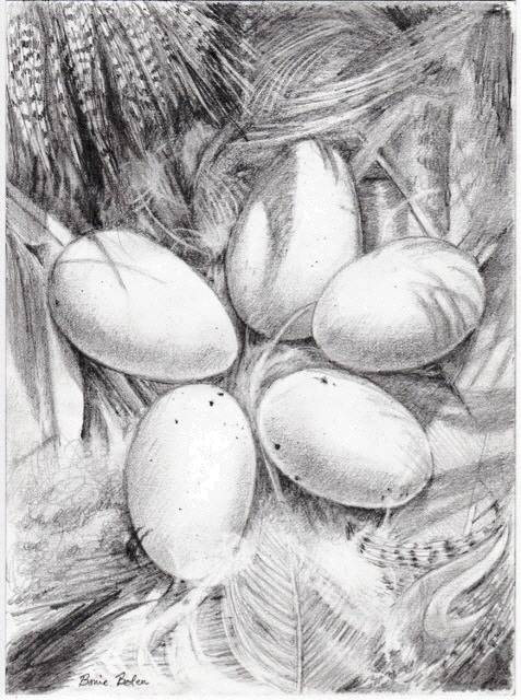 Bonie Bolen  'Bluebird Eggs', created in 2007, Original Collage.